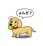 名前入りダックス：スムースイエロー（個別スタンプ：12）