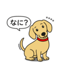 名前入りダックス：スムースイエロー（個別スタンプ：13）