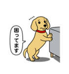 名前入りダックス：スムースイエロー（個別スタンプ：15）