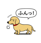 名前入りダックス：スムースイエロー（個別スタンプ：21）
