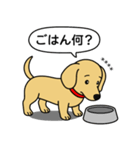 名前入りダックス：スムースイエロー（個別スタンプ：23）