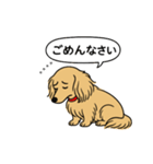 名前入りダックス：ロングイエロー（個別スタンプ：2）