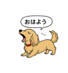 名前入りダックス：ロングイエロー（個別スタンプ：3）