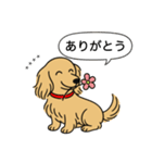 名前入りダックス：ロングイエロー（個別スタンプ：5）