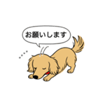 名前入りダックス：ロングイエロー（個別スタンプ：7）