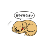 名前入りダックス：ロングイエロー（個別スタンプ：9）