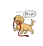 名前入りダックス：ロングイエロー（個別スタンプ：11）