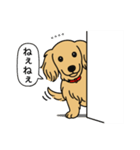 名前入りダックス：ロングイエロー（個別スタンプ：12）