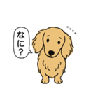 名前入りダックス：ロングイエロー（個別スタンプ：22）