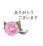 挨拶とお花のスタンプ（個別スタンプ：5）