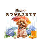 トイプードルの梅雨のキモチ（個別スタンプ：3）