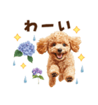 トイプードルの梅雨のキモチ（個別スタンプ：10）