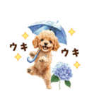 トイプードルの梅雨のキモチ（個別スタンプ：11）