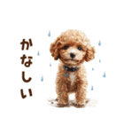トイプードルの梅雨のキモチ（個別スタンプ：13）