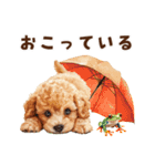 トイプードルの梅雨のキモチ（個別スタンプ：15）