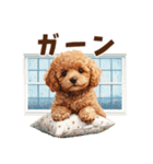 トイプードルの梅雨のキモチ（個別スタンプ：16）