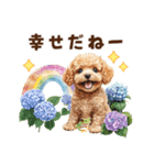 トイプードルの梅雨のキモチ（個別スタンプ：17）