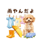 トイプードルの梅雨のキモチ（個別スタンプ：22）