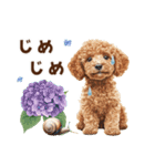 トイプードルの梅雨のキモチ（個別スタンプ：24）