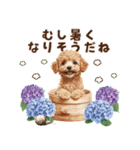 トイプードルの梅雨のキモチ（個別スタンプ：25）