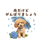 トイプードルの梅雨のキモチ（個別スタンプ：27）