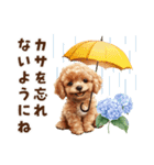 トイプードルの梅雨のキモチ（個別スタンプ：28）