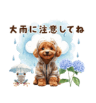 トイプードルの梅雨のキモチ（個別スタンプ：29）