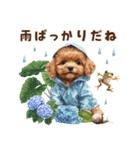 トイプードルの梅雨のキモチ（個別スタンプ：30）
