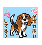 毎日使える♪ビーグルの気持ち伝える（個別スタンプ：1）