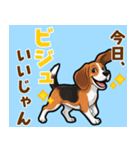 毎日使える♪ビーグルの気持ち伝える（個別スタンプ：2）