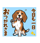 毎日使える♪ビーグルの気持ち伝える（個別スタンプ：5）