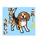 毎日使える♪ビーグルの気持ち伝える（個別スタンプ：6）