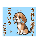 毎日使える♪ビーグルの気持ち伝える（個別スタンプ：7）