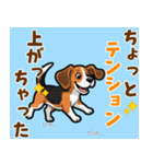 毎日使える♪ビーグルの気持ち伝える（個別スタンプ：9）