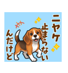 毎日使える♪ビーグルの気持ち伝える（個別スタンプ：10）