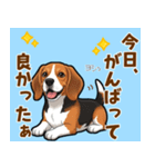 毎日使える♪ビーグルの気持ち伝える（個別スタンプ：12）