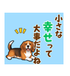 毎日使える♪ビーグルの気持ち伝える（個別スタンプ：14）