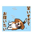 毎日使える♪ビーグルの気持ち伝える（個別スタンプ：16）