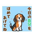 毎日使える♪ビーグルの気持ち伝える（個別スタンプ：18）