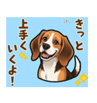 毎日使える♪ビーグルの気持ち伝える（個別スタンプ：19）