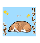毎日使える♪ビーグルの気持ち伝える（個別スタンプ：20）