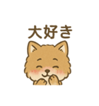 愛を伝えるふわふわ柴犬スタンプ（個別スタンプ：1）