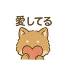 愛を伝えるふわふわ柴犬スタンプ（個別スタンプ：3）