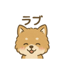 愛を伝えるふわふわ柴犬スタンプ（個別スタンプ：8）