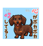 毎日使える♪ダックスの気持ちメッセージ（個別スタンプ：1）