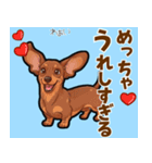 毎日使える♪ダックスの気持ちメッセージ（個別スタンプ：4）