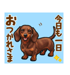 毎日使える♪ダックスの気持ちメッセージ（個別スタンプ：5）