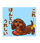 毎日使える♪ダックスの気持ちメッセージ（個別スタンプ：6）
