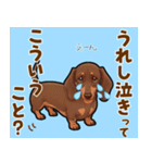 毎日使える♪ダックスの気持ちメッセージ（個別スタンプ：7）