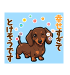 毎日使える♪ダックスの気持ちメッセージ（個別スタンプ：8）
